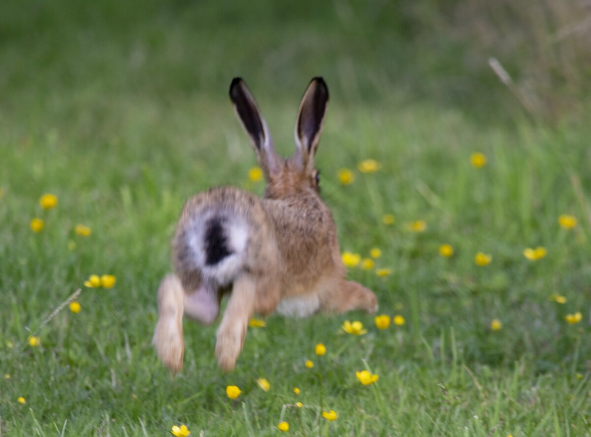 ZKOUŠKY VLOH 9.5.2026 ZMĚNA